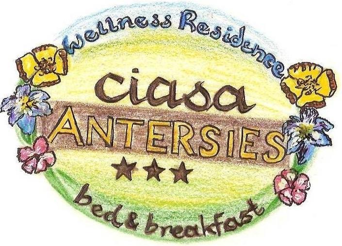 Family And Wellness Residence Ciasa Antersies San Cassiano (Badia) Exterior foto