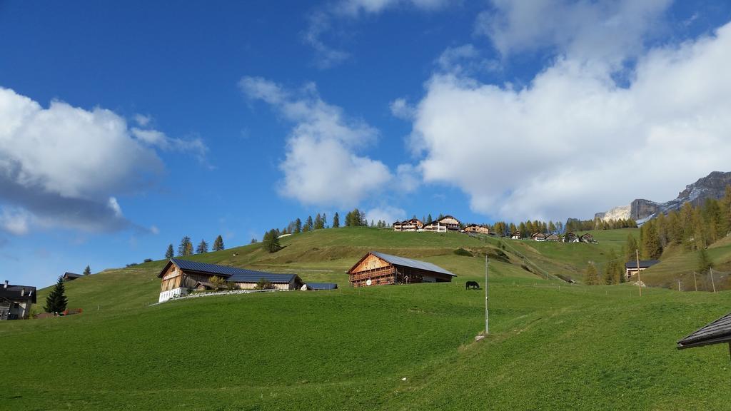 Family And Wellness Residence Ciasa Antersies San Cassiano (Badia) Exterior foto